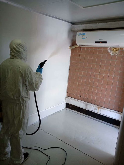 圖 楊家坪清潔服務(wù)公司 各種類(lèi)型清潔小時(shí)專(zhuān)業(yè)服務(wù) 重慶家政